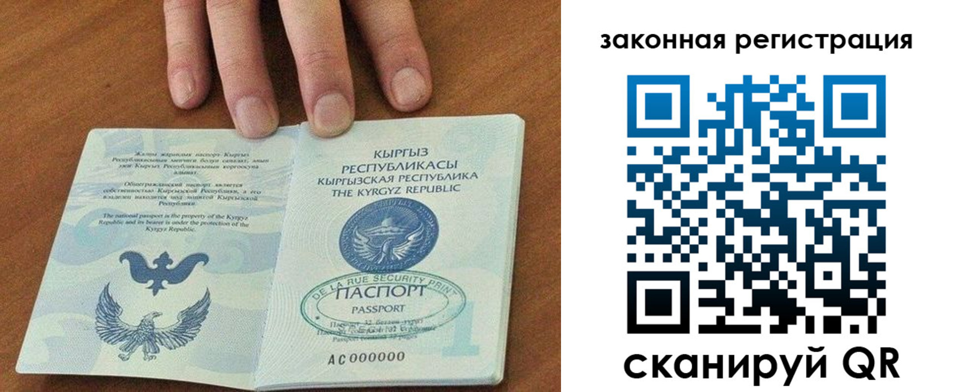 прописка гарантия в Камбарке